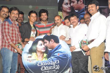 Chirunavvula Chirujallu Movie Audio Launch